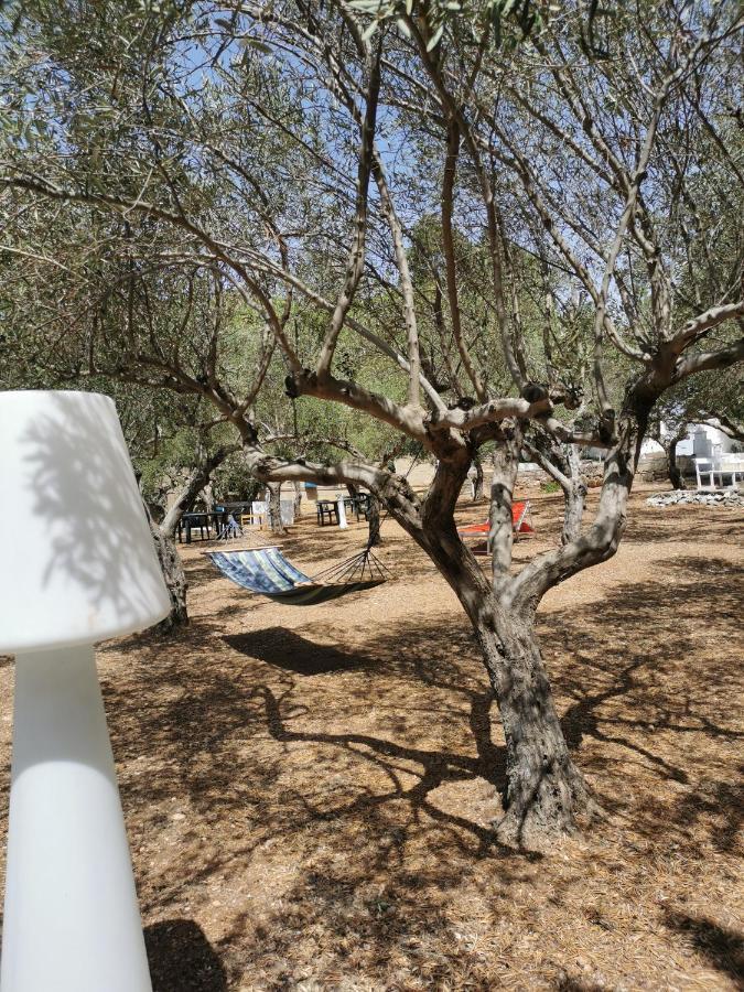 Seccagrande Holiday Home المظهر الخارجي الصورة